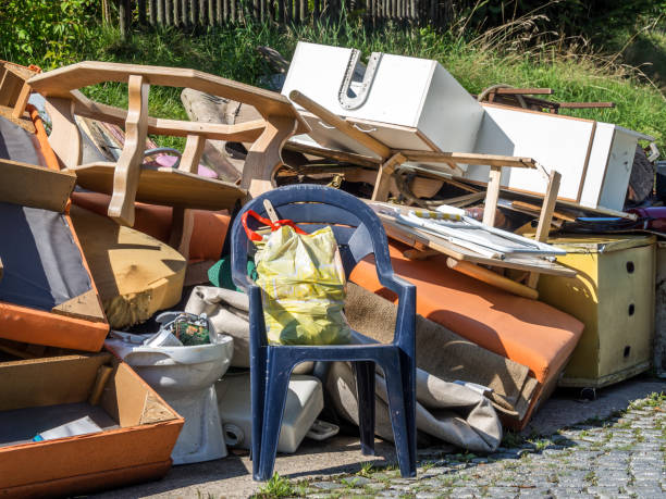 Best Electronics Removal Services  in Thief River Falls, MN