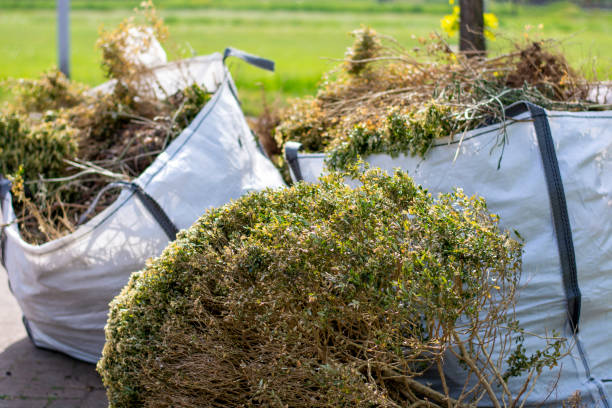 Best Yard Waste Removal  in Thief River Falls, MN